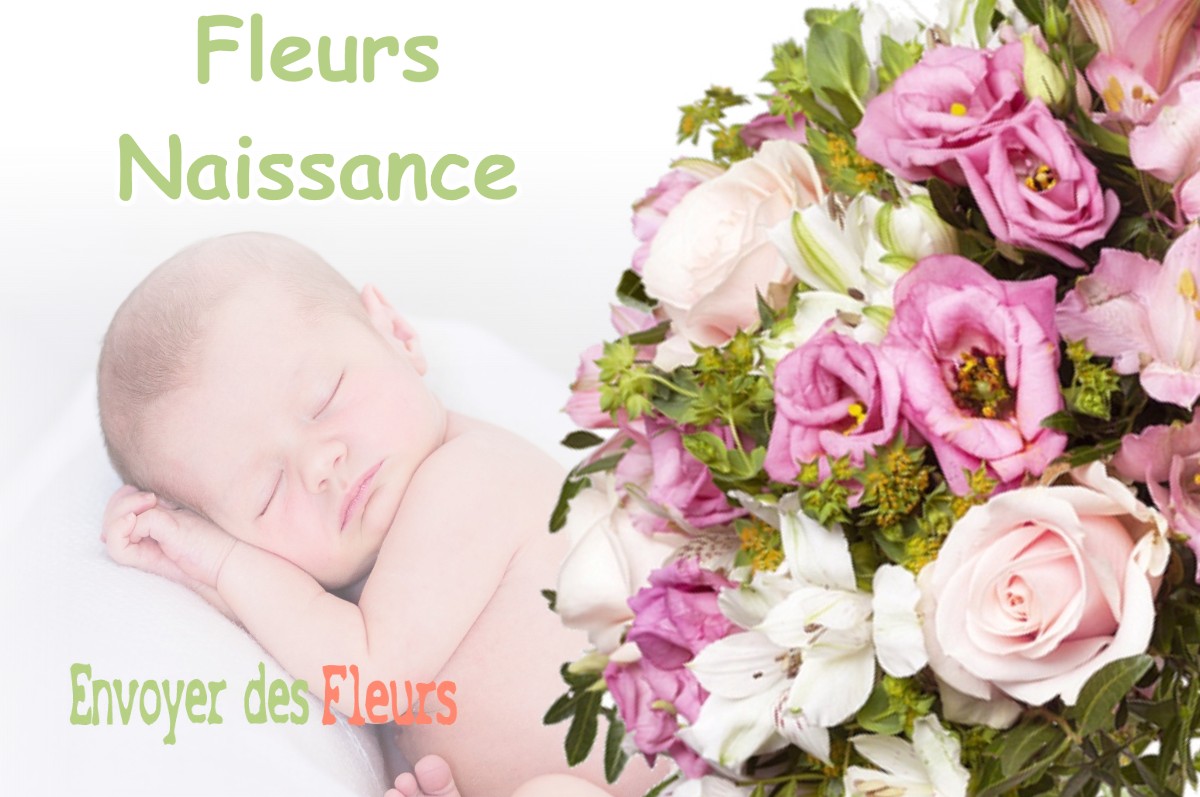 lIVRAISON FLEURS NAISSANCE à SAINT-REMY-DE-SILLE